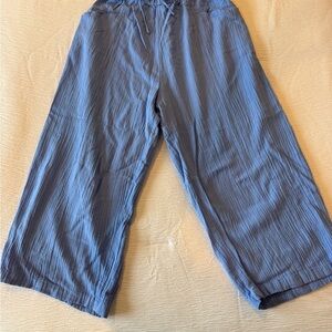Rip Curl Light Blue Elastic Waist Pants